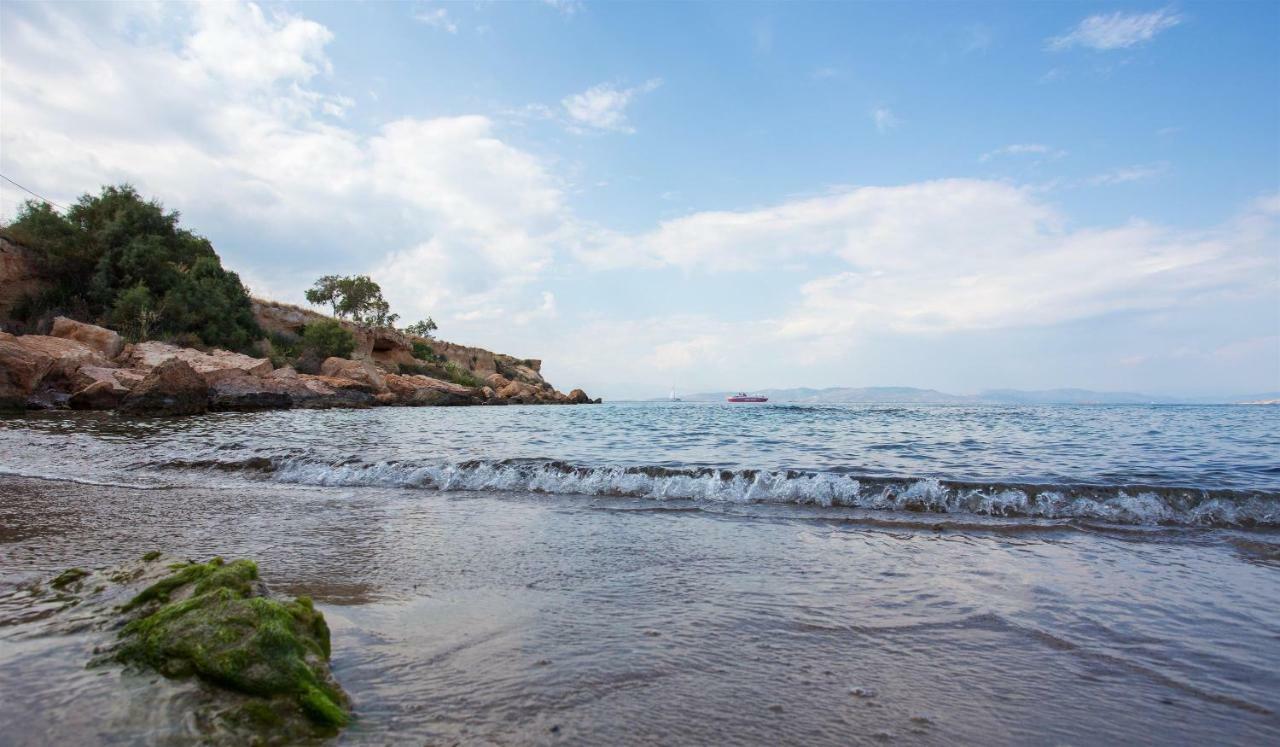 Aneli Luxury Villas-villa *